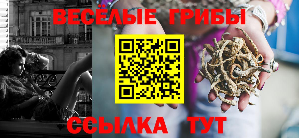 Красногорск  Псилоцибиновые грибы GOLDEN TEACHER  Вход с VPN 