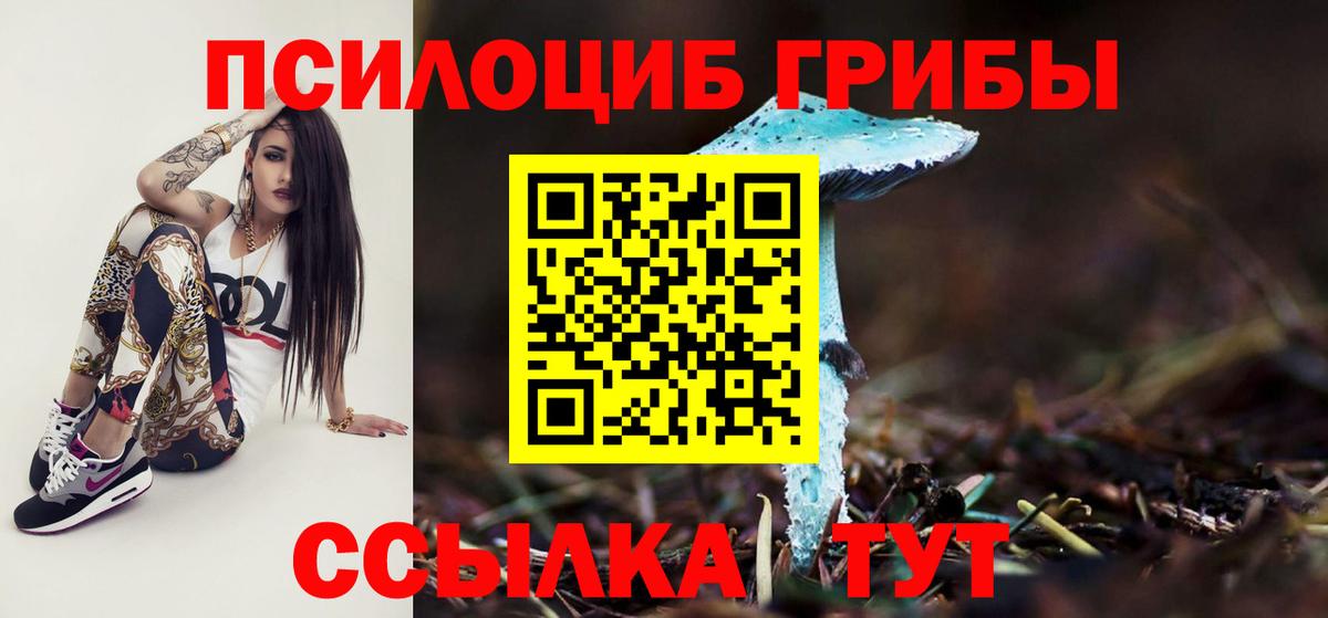 Галлюциногенные грибы прущие грибы Красногорск